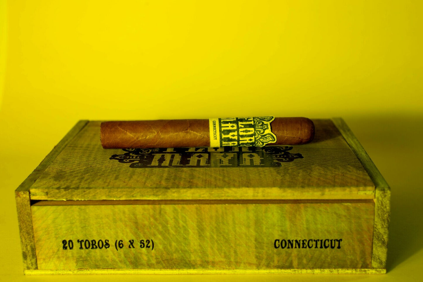 Flor Maya - Connecticut