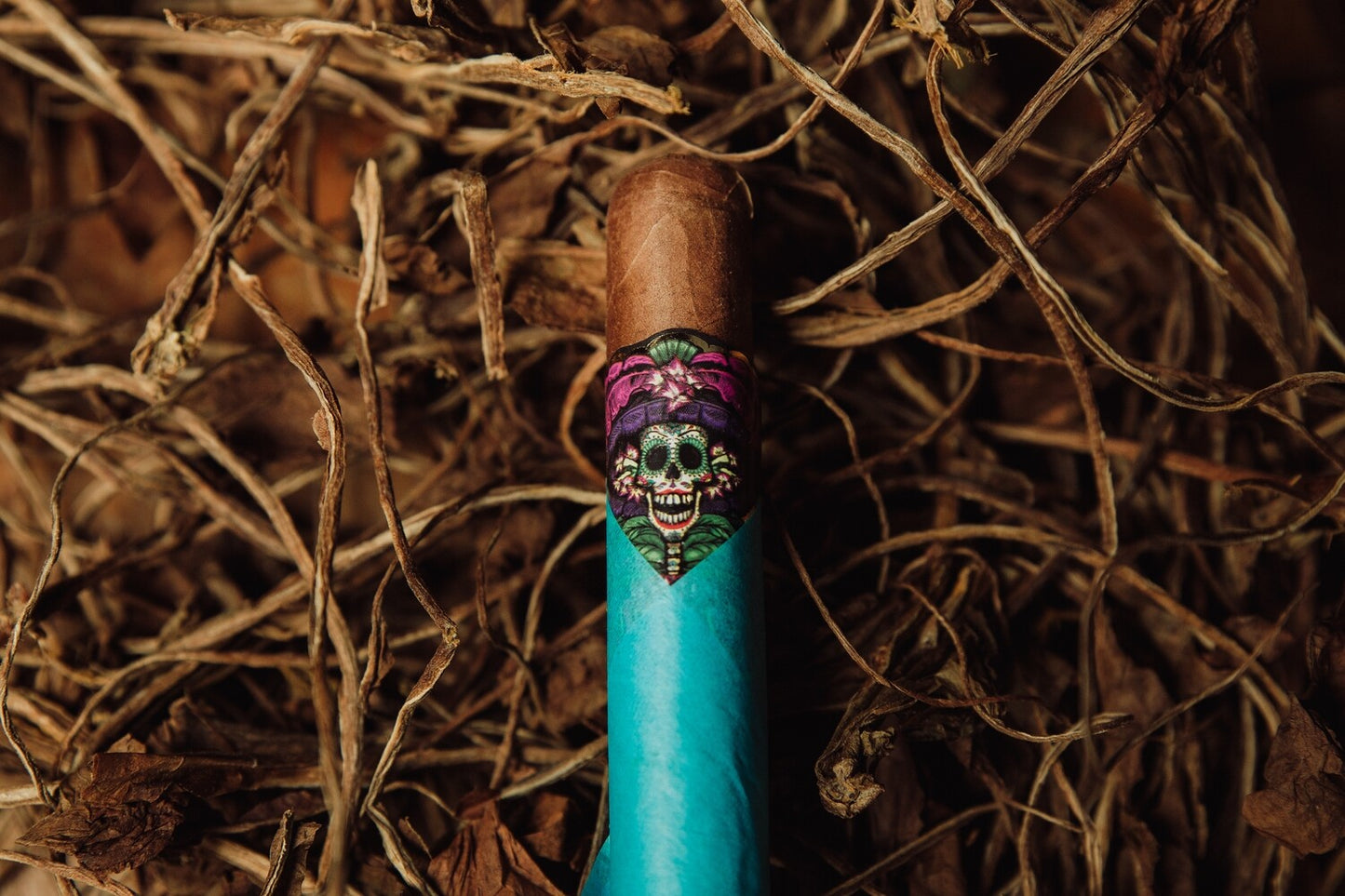 Catrina- Corojo