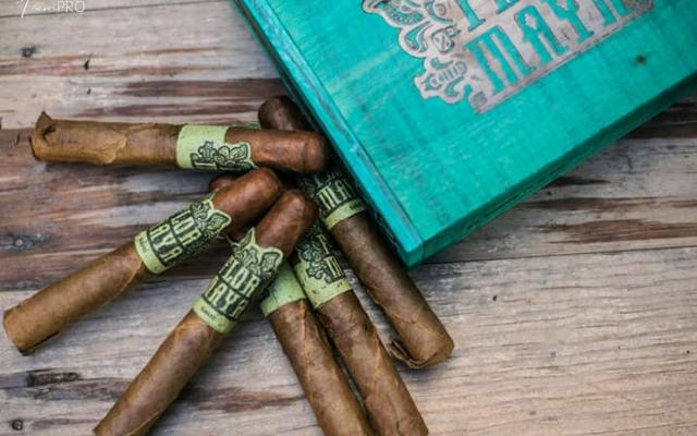 Flor Maya- Habano