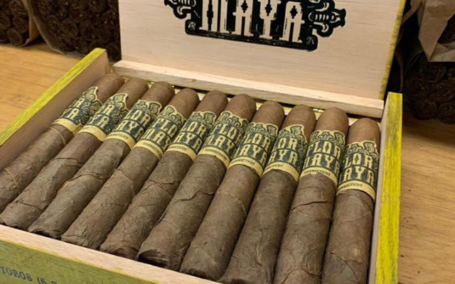 Flor Maya - Connecticut